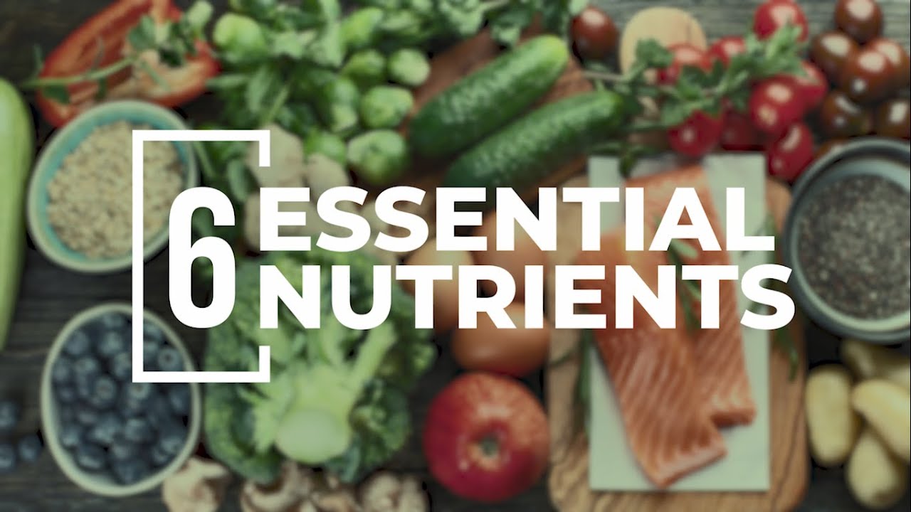 6 Important Nutrients for Kids